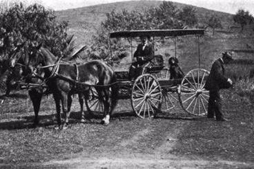 California Bureau of Highways Buckboard Wagon - Riverside County; 1896